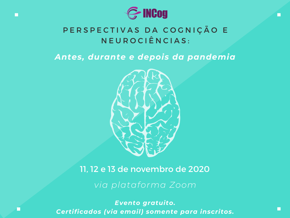 IV Reunião Anual do INCog